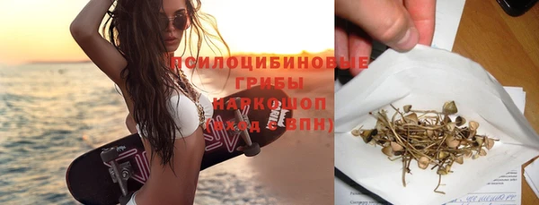винт Абаза