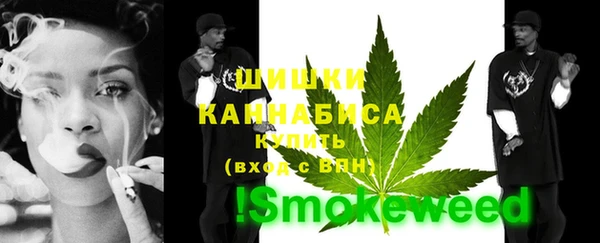 винт Абаза