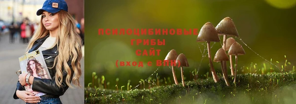 винт Абаза