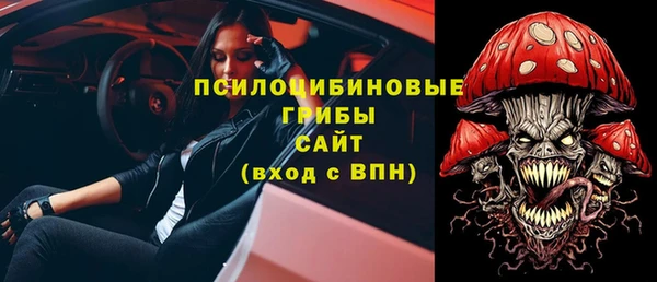 винт Абаза