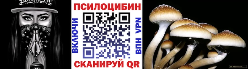 hydra онион  Азнакаево  Псилоцибиновые грибы Psilocybe 